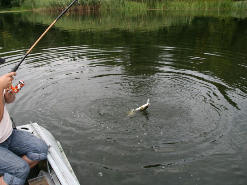 Значимость рыболовецких навыков